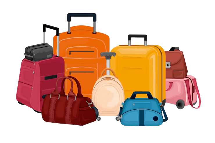 Luggage & Travel